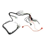 12V DAX Wiring Loom For Zhehua Bikes